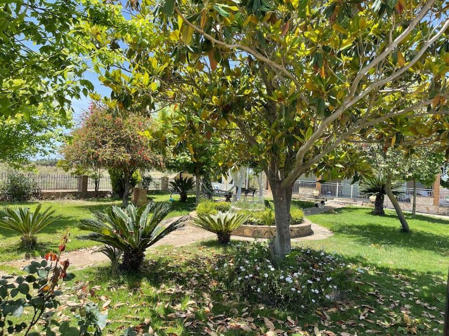 Mama'S Sunshine Garden Villa Agios Ilias  ภายนอก รูปภาพ