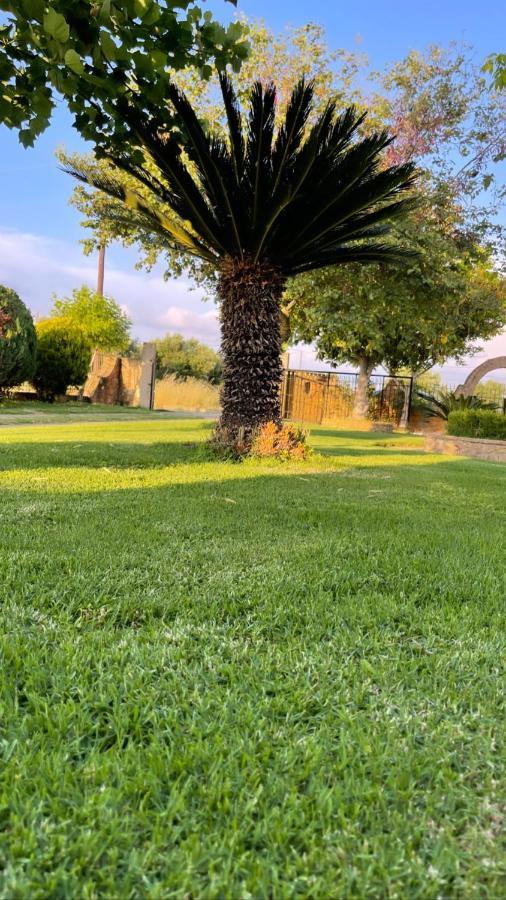 Mama'S Sunshine Garden Villa Agios Ilias  ภายนอก รูปภาพ