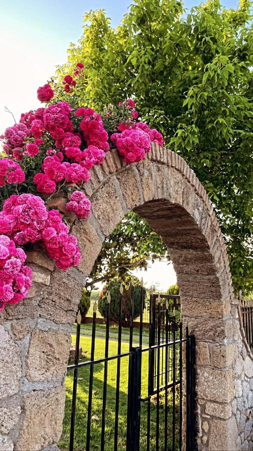 Mama'S Sunshine Garden Villa Agios Ilias  ภายนอก รูปภาพ