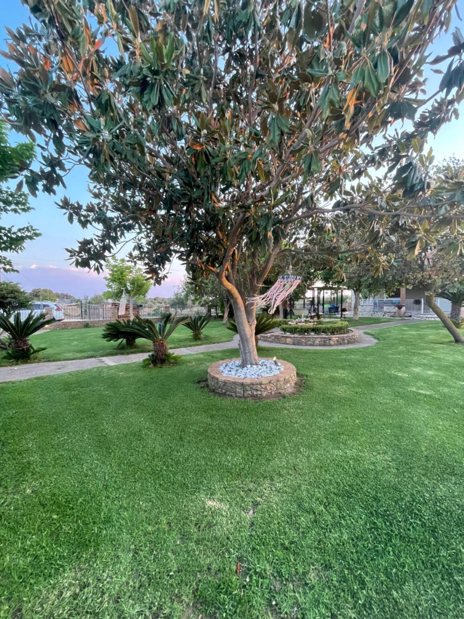 Mama'S Sunshine Garden Villa Agios Ilias  ภายนอก รูปภาพ