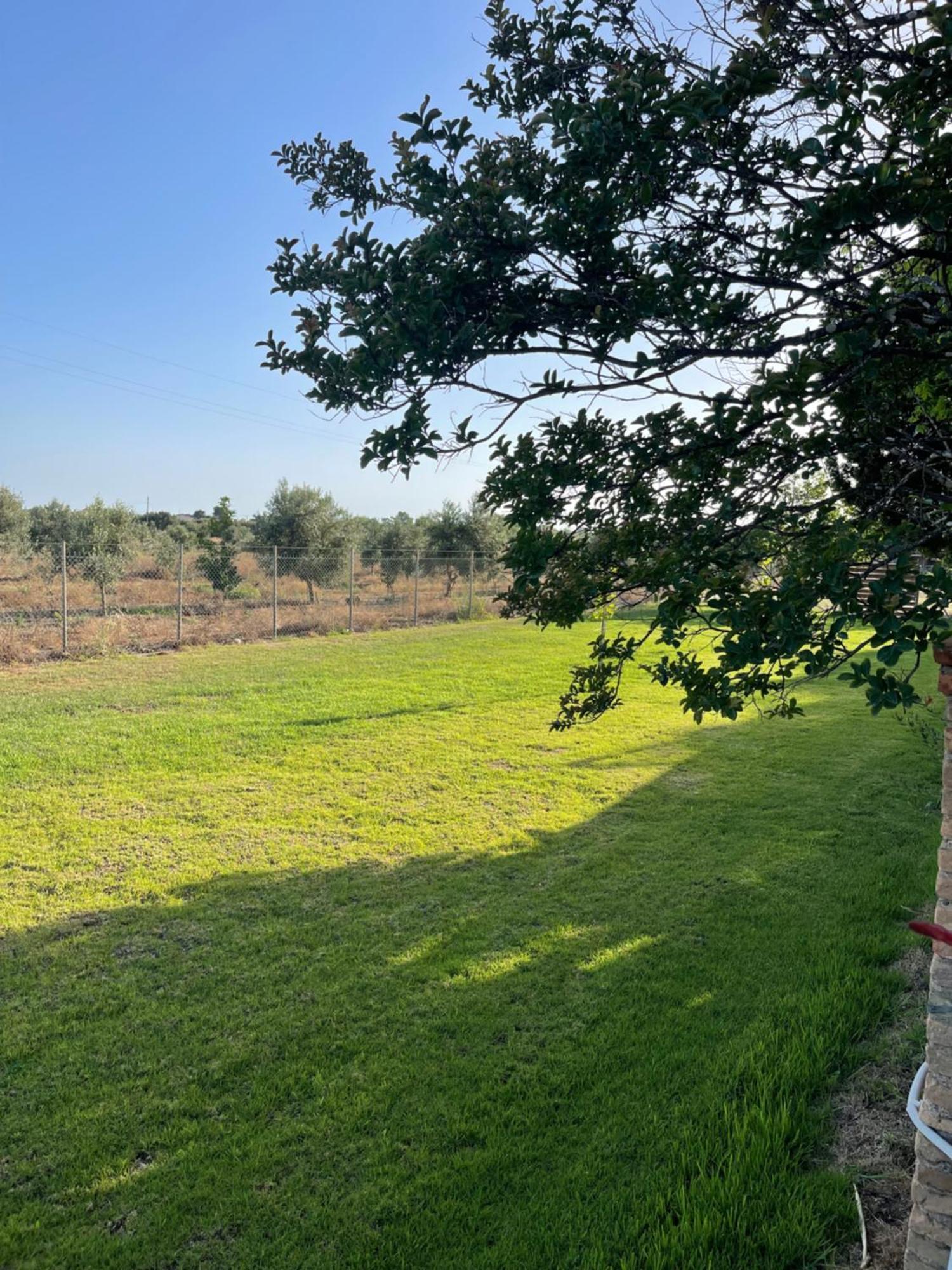 Mama'S Sunshine Garden Villa Agios Ilias  ภายนอก รูปภาพ