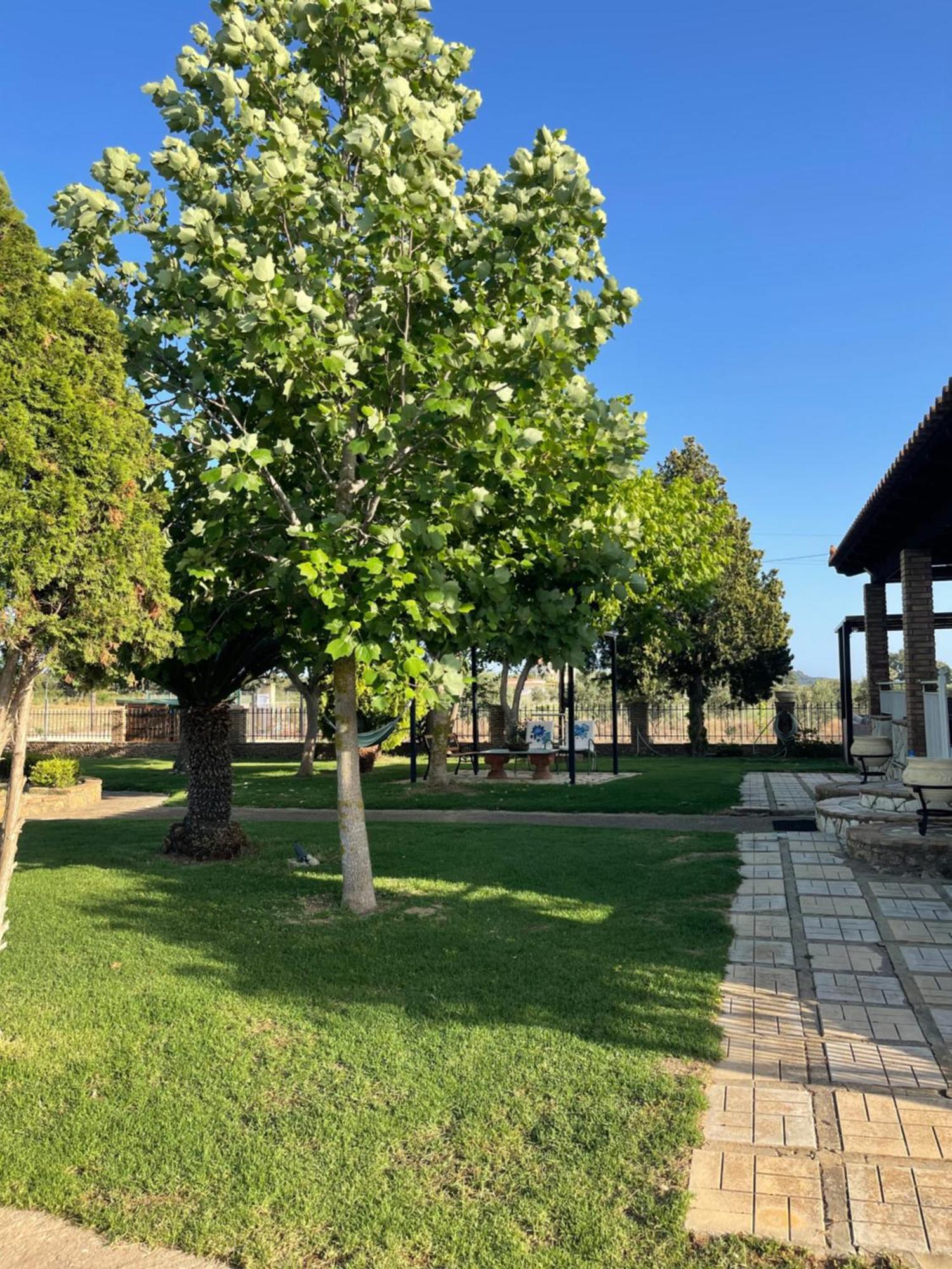 Mama'S Sunshine Garden Villa Agios Ilias  ภายนอก รูปภาพ