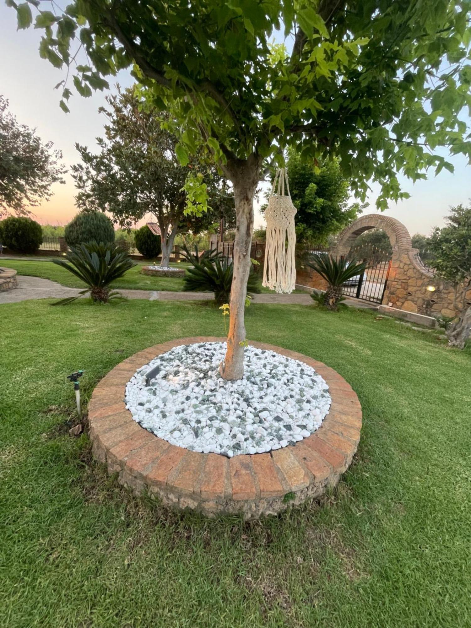 Mama'S Sunshine Garden Villa Agios Ilias  ภายนอก รูปภาพ